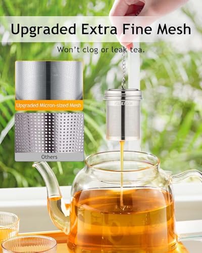 Tea Infuser 2 Pack with Scoop