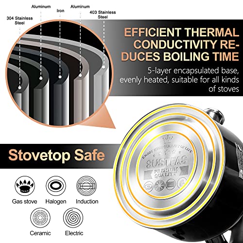 Tea Kettle 3.17QT Stainless Steel Whistling Tea Pot