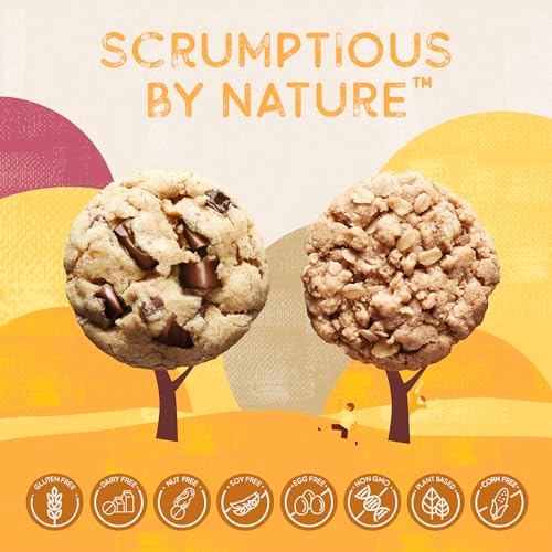 Autumn Sons Gluten Free Chocolate & Oatmeal Cookie Mix (18.6 Ounce)