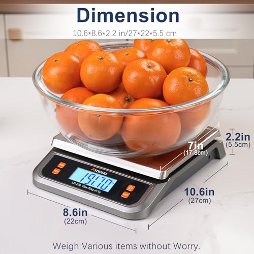 88lb Food Scale