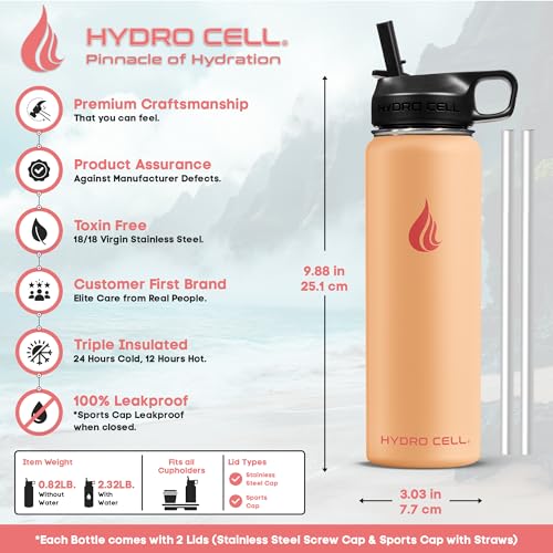 Stainless Steel Insulated Water Bottle with Straw