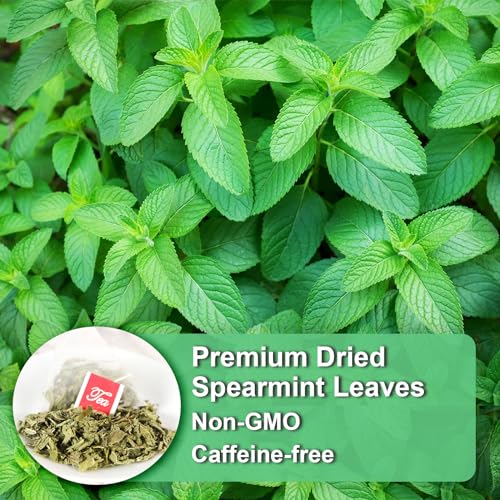 Spearmint Tea Bags (40 Count)