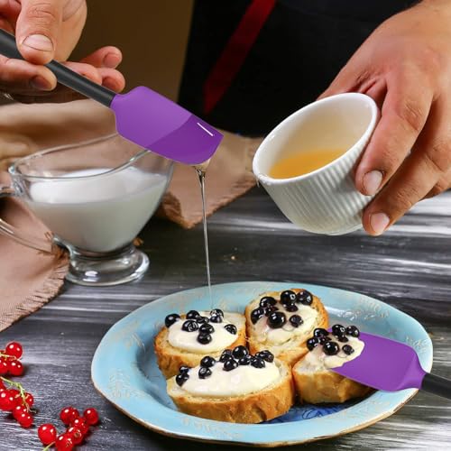 Silicone Spatula Set of 5 (5 Count)