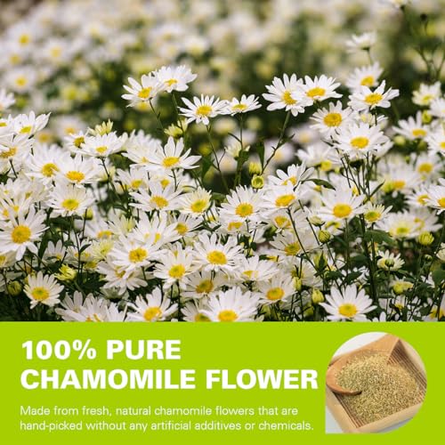 Chamomile Tea bags (100 Count)