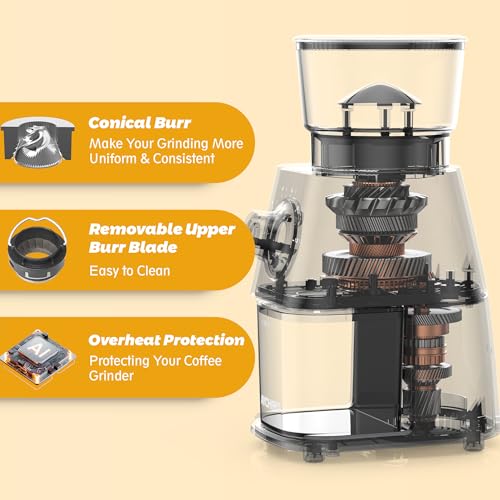 Coffee Grinder Electric