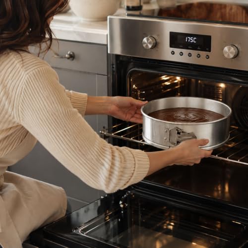 10 in Silver Aluminum Springform Cake Pan