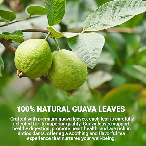 Guava Leaf Tea Bags (40 Count)
