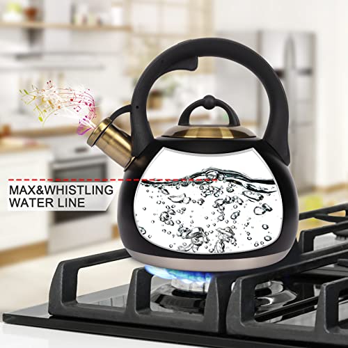 Tea Kettle for Stovetop