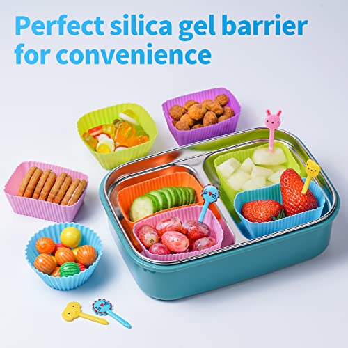 Silicone Bento Lunch Box Dividers 3 Shapes of Standard Round & Square & Rectangle (3 Count)