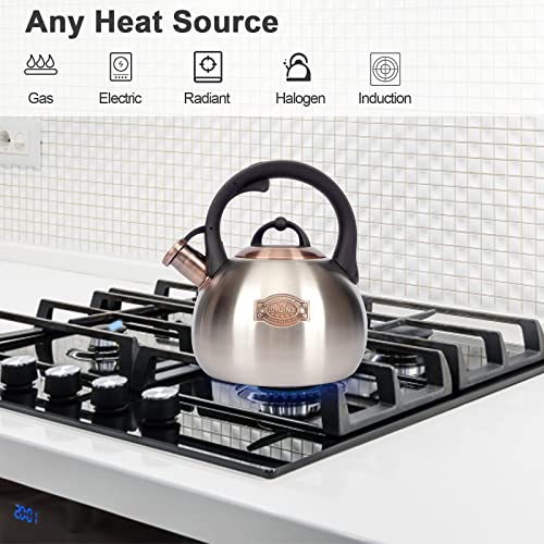 3.1 Quart Teal Whistling Tea Kettle for Stove Top