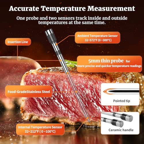 Wireless Meat Thermometer with Dual Probes