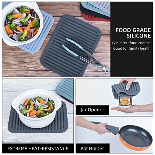 Silicone Trivet Mat for Hot Pots and Pans (2 Count)