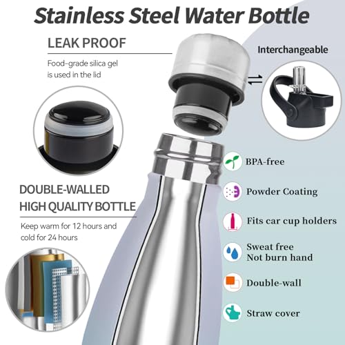 Insulated Water Bottle (2 Count)