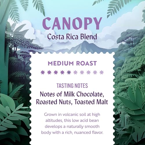 Low Acid Medium Roast (12 Ounce)