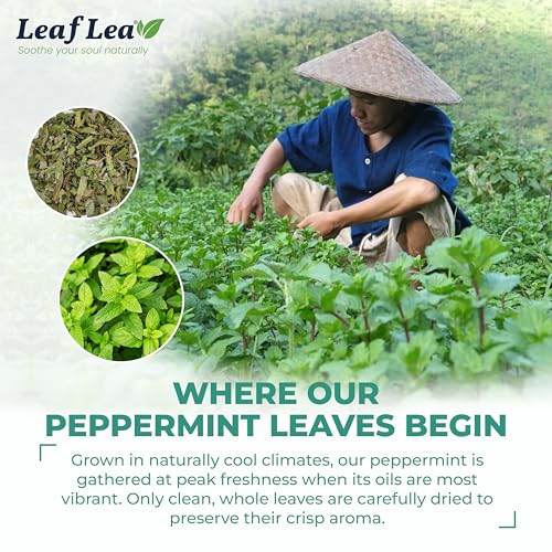 Peppermint Tea Bags (80 Count)