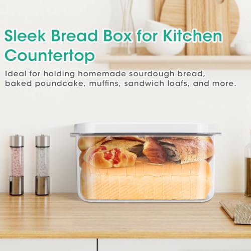 Large Bread Box with Easy