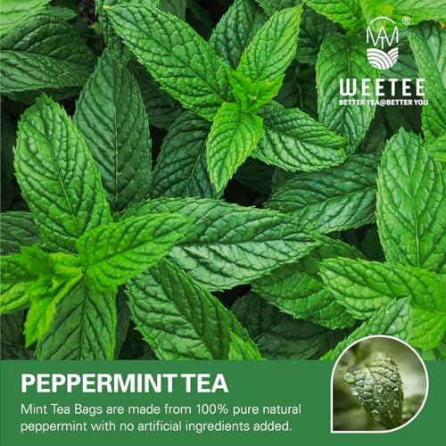 Peppermint Tea Bags 100 Count