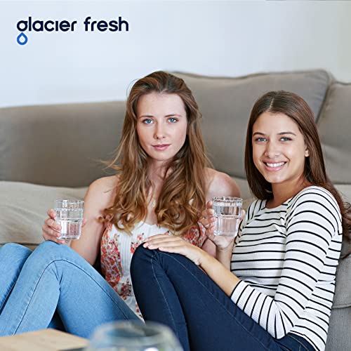 Water Filter Compatible with LifeStraw Pitcher