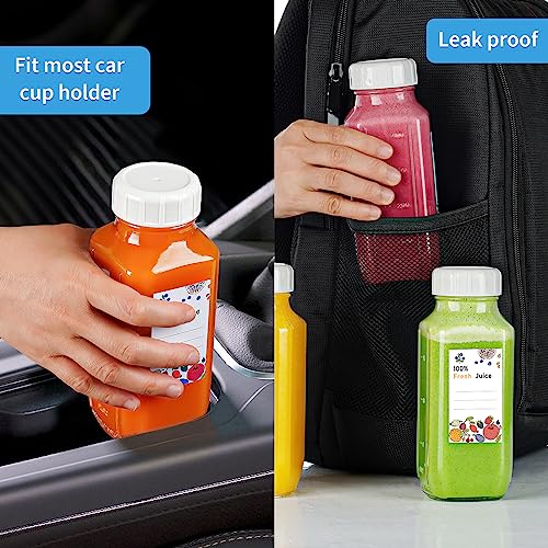 6 Pack 16 Oz Glass Juice Bottles with Lids (6 Count)
