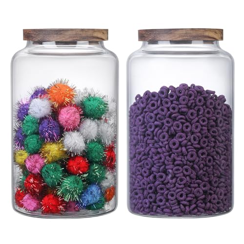 Vacuum Coffee Canister Glass Food Storage Jars With Airtight Lids Borosilicate Glass Coffee Canister Container for Coffee Beans & Grounds Tea Sugar Spices Kitchen