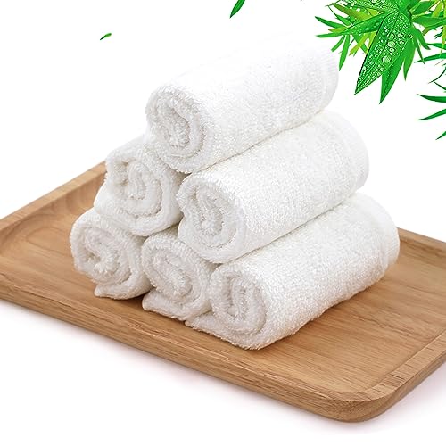 Dish Wash Cloths 6 Pack (6 Count)