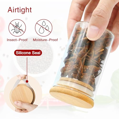 Spice Jars with Labels (35 Count)