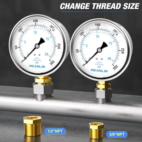 0~300Psi Stainless Steel 1