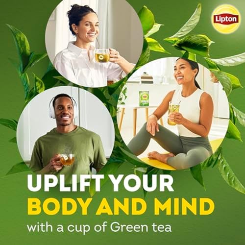 Signature Blend Green Tea with Jasmine 240 (240 Count)