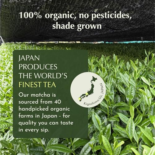 Matcha Latte Powder (2.12 Ounce)
