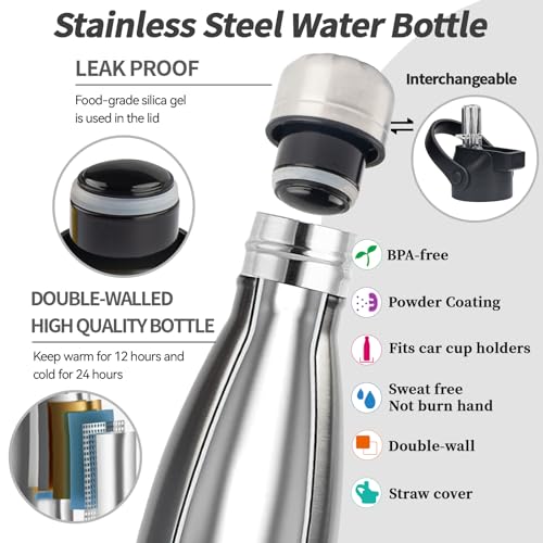 Insulated Water Bottle