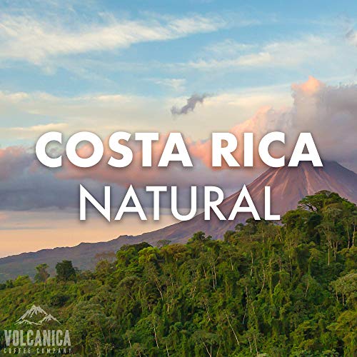 Costa Rican Coffee (80 Ounce)