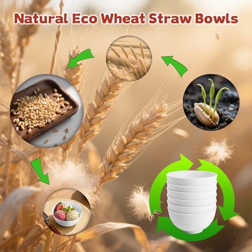 Mini Wheat Straw Bowls Set of 6