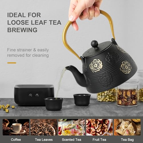 Cast Iron Teapot with Stainless Infuser Enameled Interior 40oz