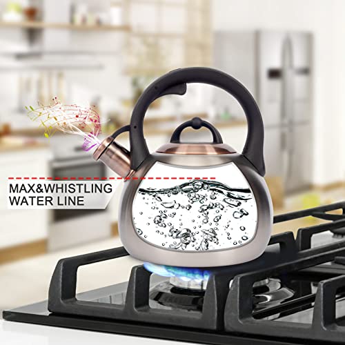 3.1 Quart Teal Whistling Tea Kettle for Stove Top