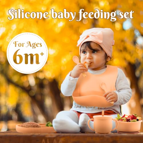 Silicone Baby Feeding Set 11 Pcs (11 Count)