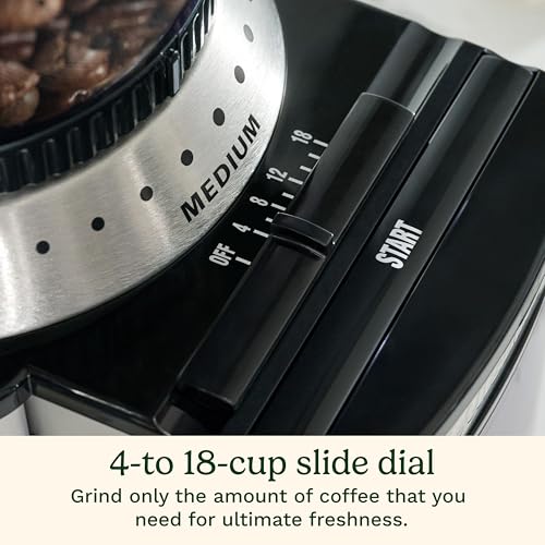 Electric Burr Coffee Grinder