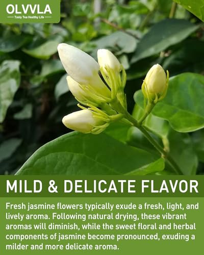 Dried Jasmine Flowers (3 Ounce)