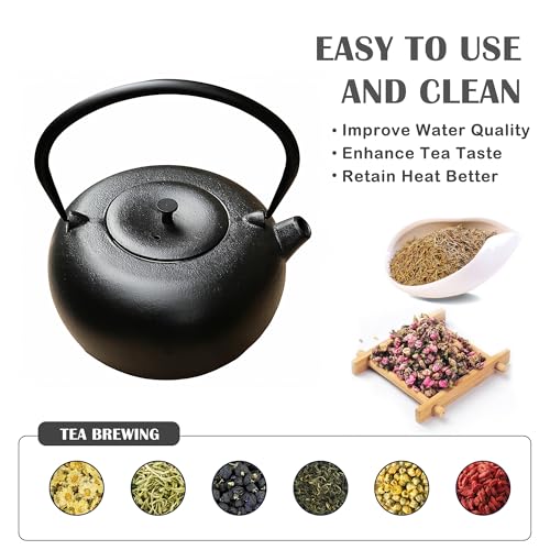 67.6oz Large Cast Iron Teapot and Cups Set