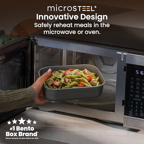 MicroSteel Leak