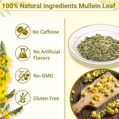Mullein Tea Bags for Lungs (100 Count)