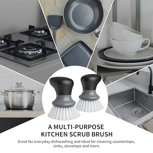 Dish Scrub Brush (2 Count)
