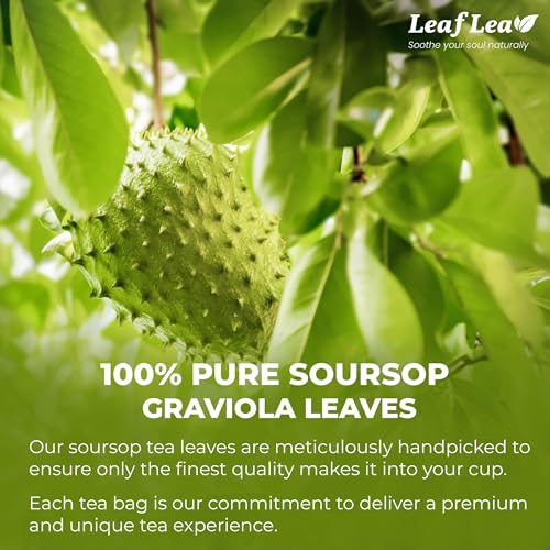 120 Soursop Tea Bags (120 Count)