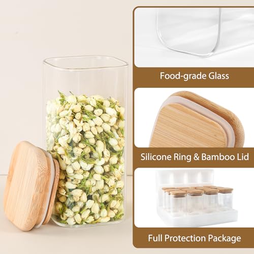 12 Pack 10 oz Square Glass Spice Jars with Lids and Labels (12 Count)