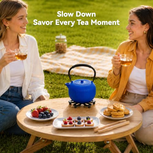 Cast Iron Teapot Set with 2 Cups