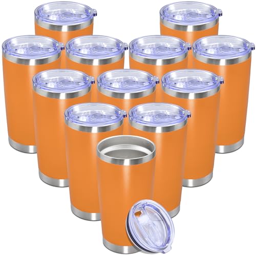 20 oz Tumbler Insulated Tumblers Stainless Steel Coffee Mug