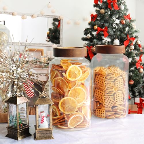 Glass Coffee Jars Spice Jar Round Storage Canister with Wooden Lid Clear Glass Food Jar for Pantry Sugar Tea Coffee Bean Spice Nuts Cookies Bath Salts