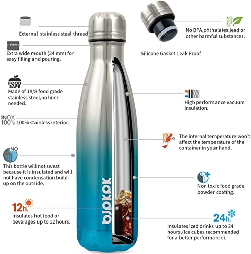 17 oz Insulated Water Bottle