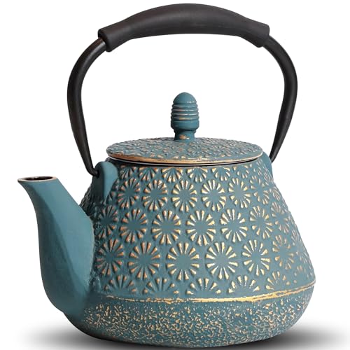 Cast Iron Teapot