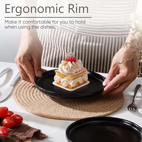 4 Piece Stoneware Small Dinner Plates Set