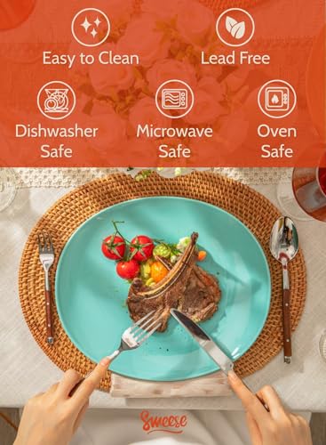 Porcelain Dinner Plates (6 Count)